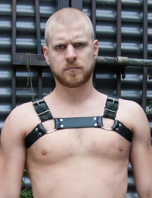 Bruiser Bulldog Harness