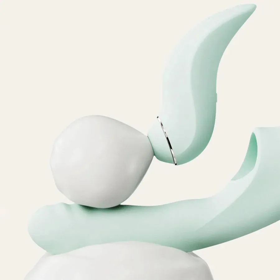 Detachable Thrusting Rabbit Vibrator for Women