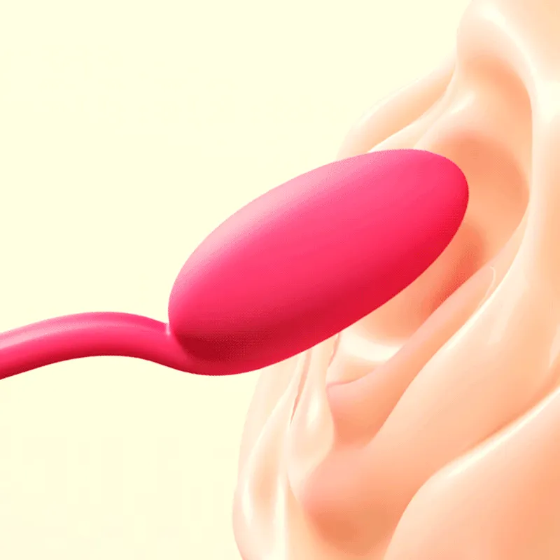 Dual Stimulation Love Egg Vibrator for Women