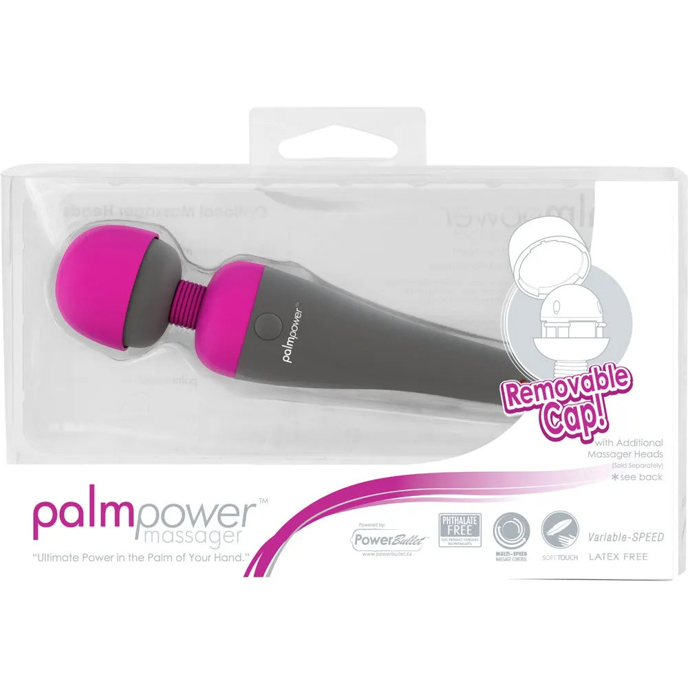PalmPower Vibrating Wand Massager
