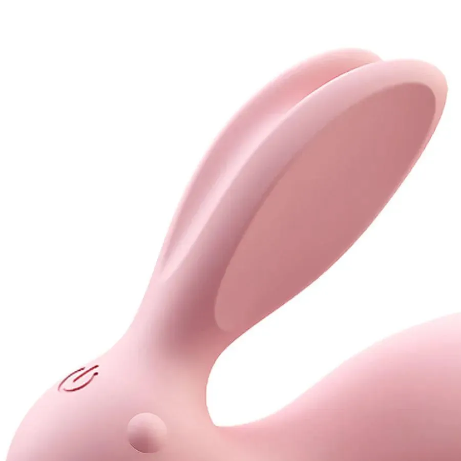 Remote Vibrator with APP