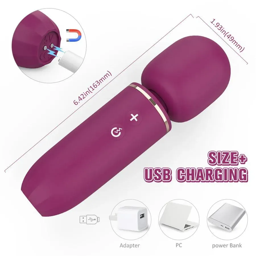 Xinghaoya Mini Portable Wand Vibrator