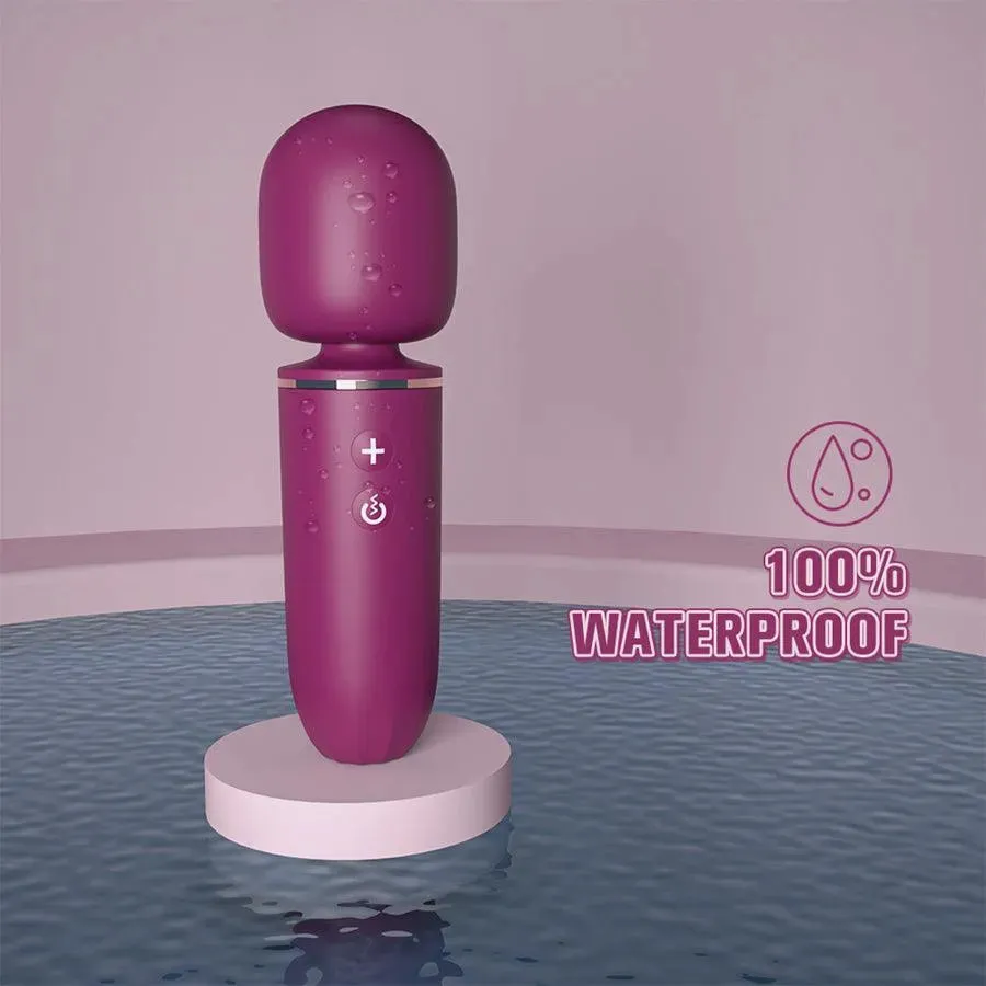 Xinghaoya Mini Portable Wand Vibrator