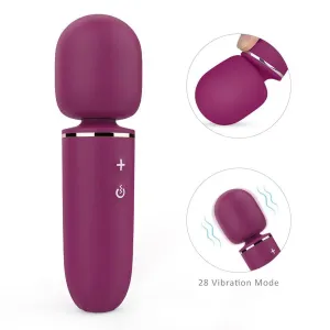Xinghaoya Mini Portable Wand Vibrator