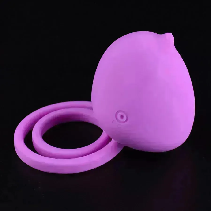 Xinghaoya Silicone Dick Vibrator