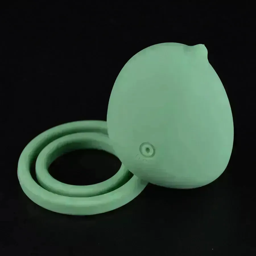 Xinghaoya Silicone Dick Vibrator